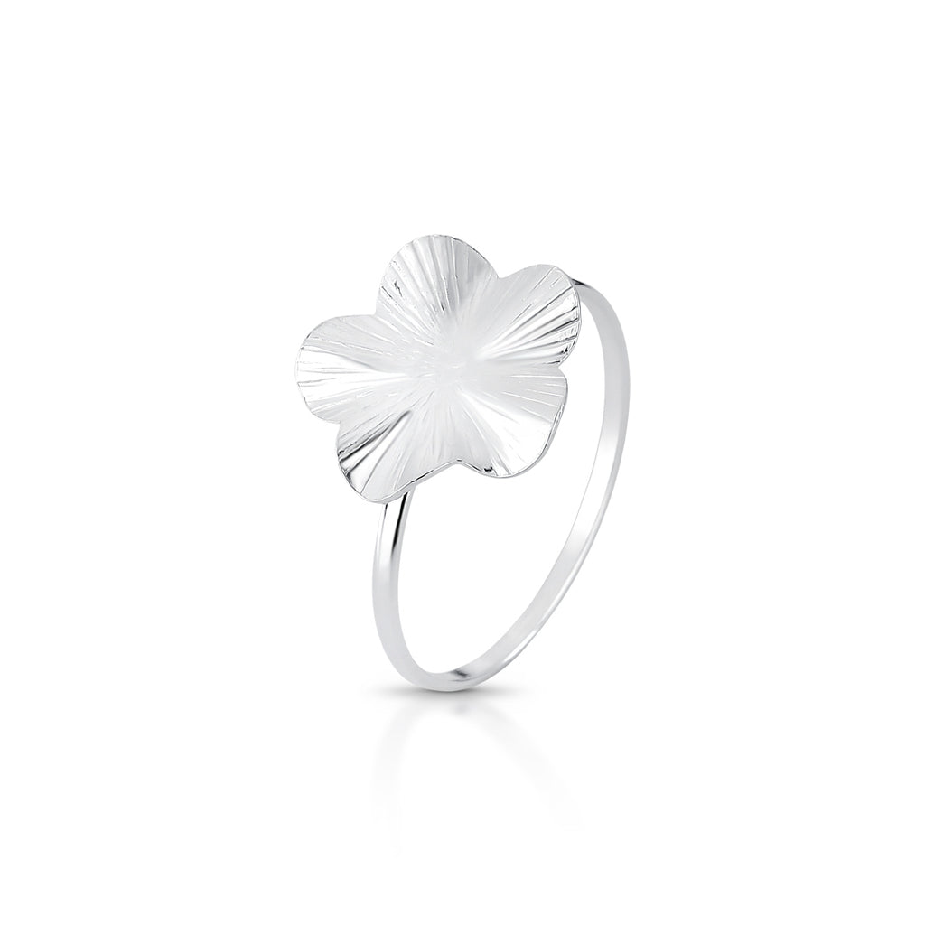 Gentle Bloom