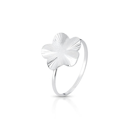 Gentle Bloom