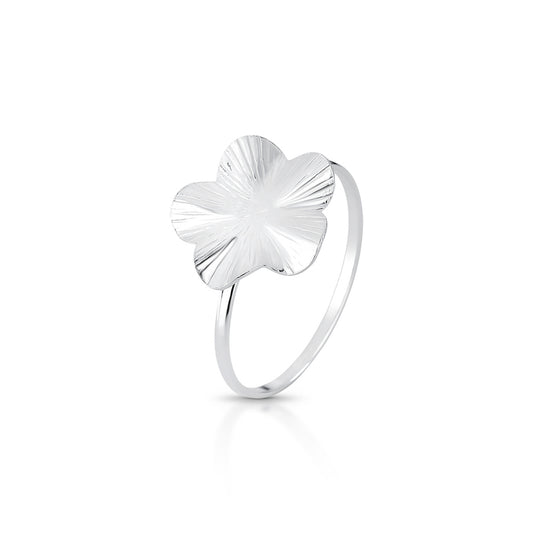 Gentle Bloom